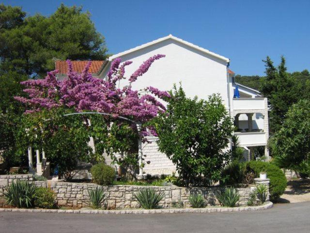 Apartments Sarah Medvinjak Bagian luar foto